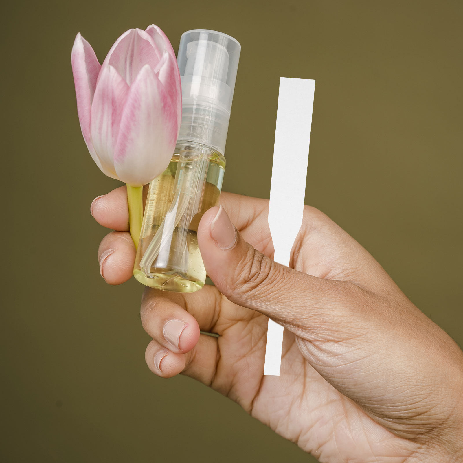 100 قطعة من شرائح اختبار العطو - مراجعة Shop Home Fragrance وسعره